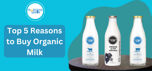 Top 5 Reasons to Buy Organic Milk