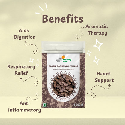 Badi Eliachi (Black Cardamom)