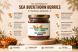 Sea Buckthorn Berry (Dried) 100gm