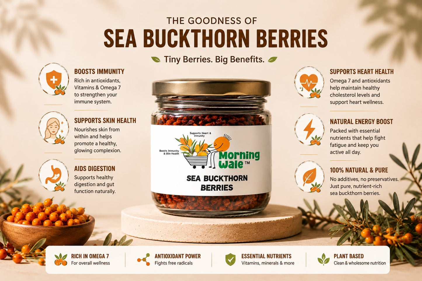 Sea Buckthorn Berry (Dried) 100gm