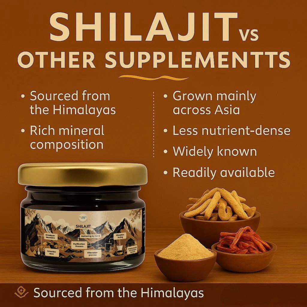Himalayan Shilajit