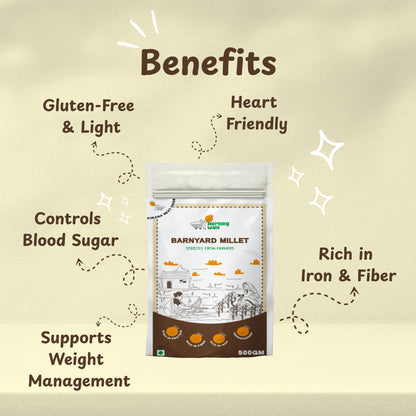 Organic Barnyard Millet