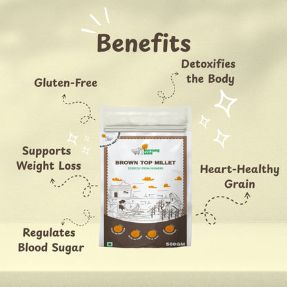 Organic Brown Top Millet