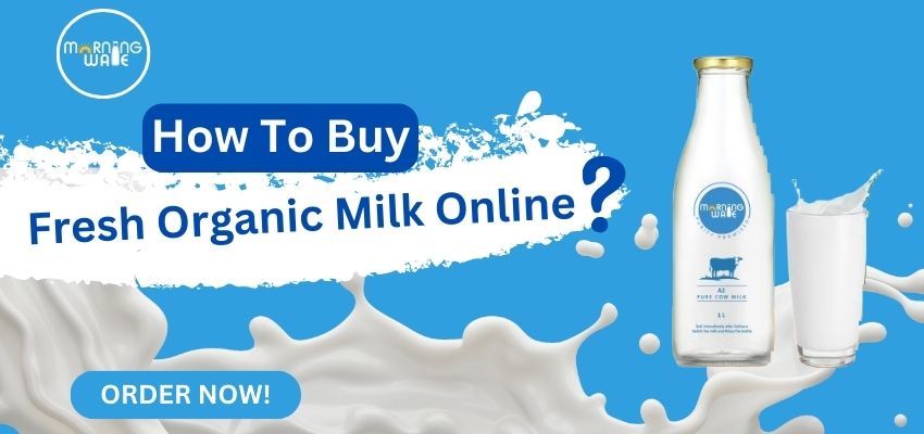 How to Buy Fresh Organic Milk Online?