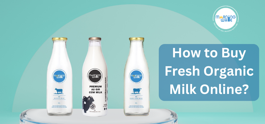 How to Buy Fresh Organic Milk Online