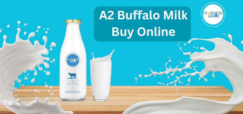 A2 Buffalo Milk Buy Online