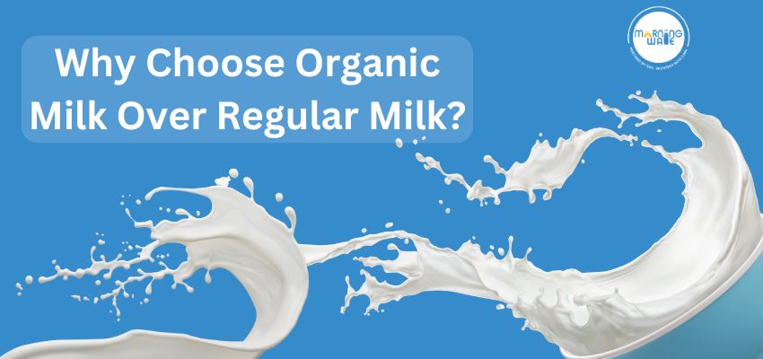 Why Choose Organic Milk Over Regular Milk?